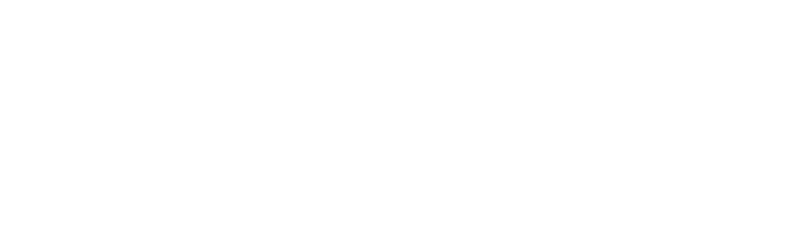 Shipsy